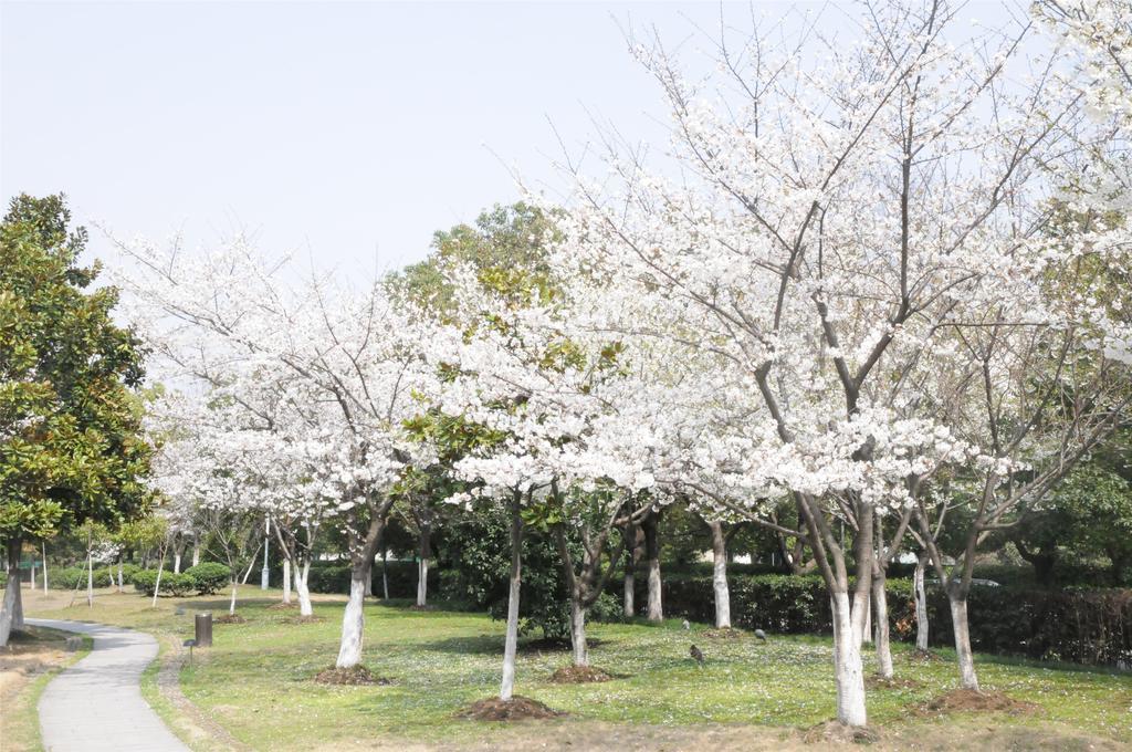 Jinling Resort Nanjing Nanking Exterior foto